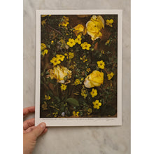  Nature's Gold • 1 of 1 signed Artist Proof