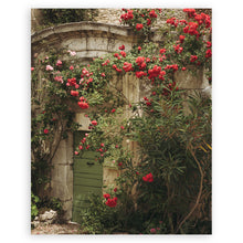  The Flowers of Provence • Page 5 • Small Poster