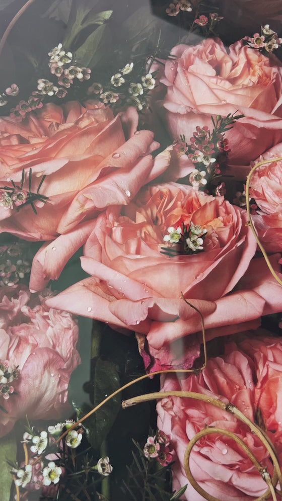 Framed Masterwork - Rose Month Day Seven