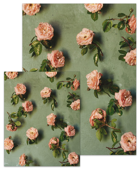 Rose Month Day Twenty-nine Small Poster Botticelli’s Rose