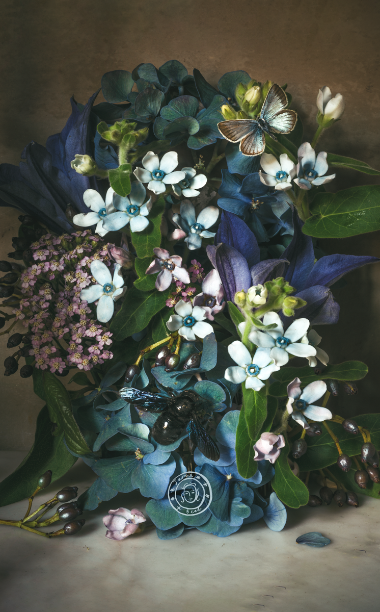 Fleur de Paris