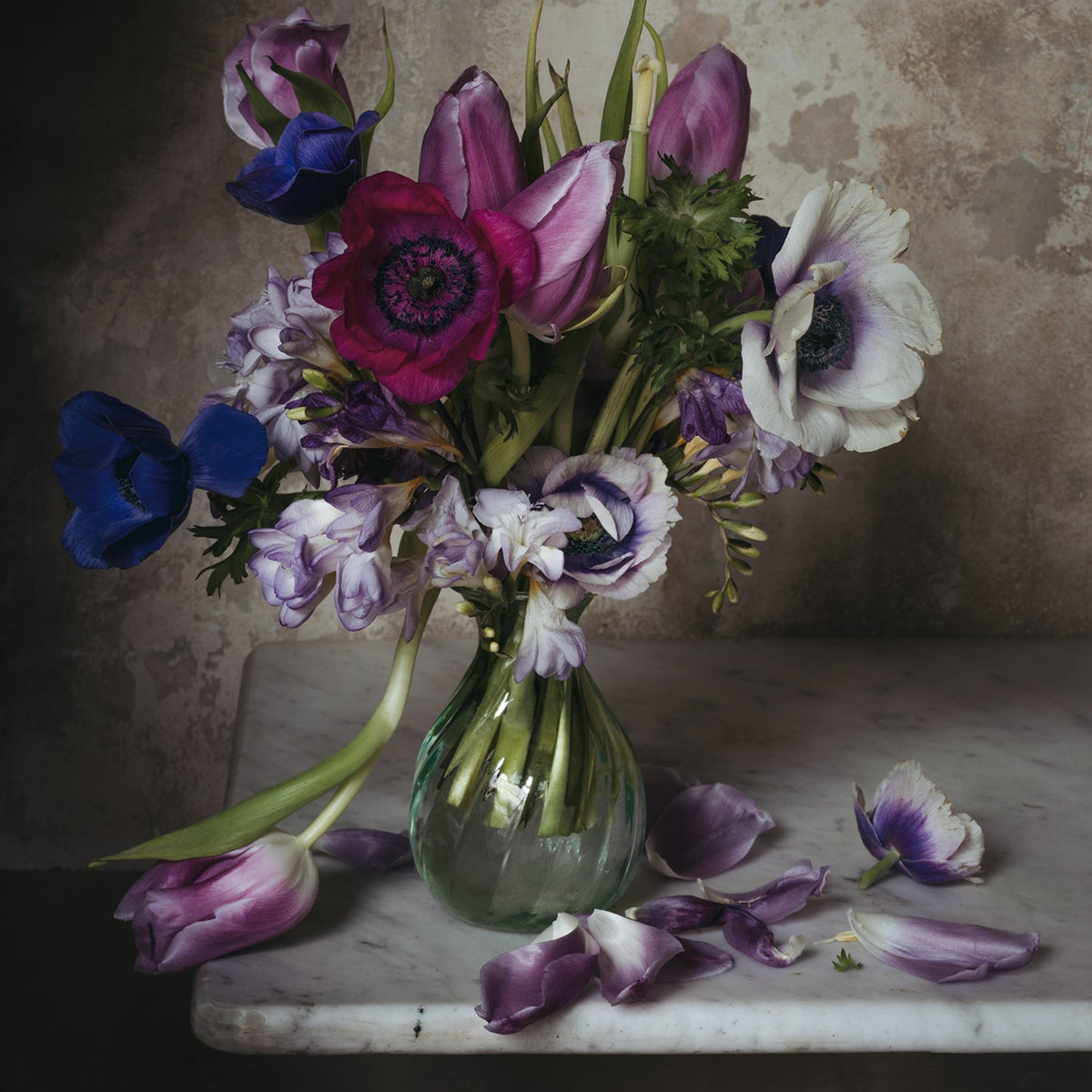 Dying Purple Flowers