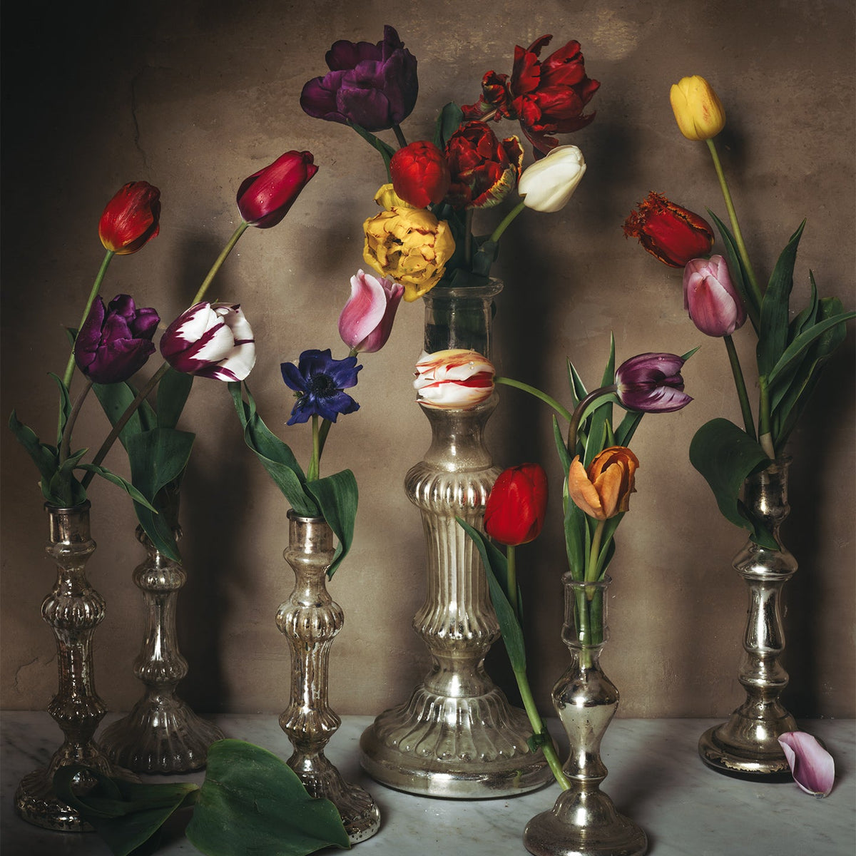 Tulipes Chandelier
