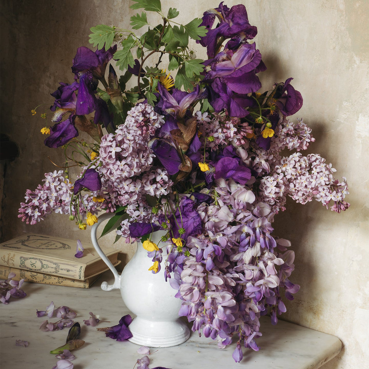 Wild Iris and Wisteria