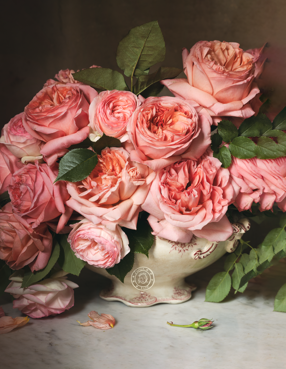 Rose Month Day Six