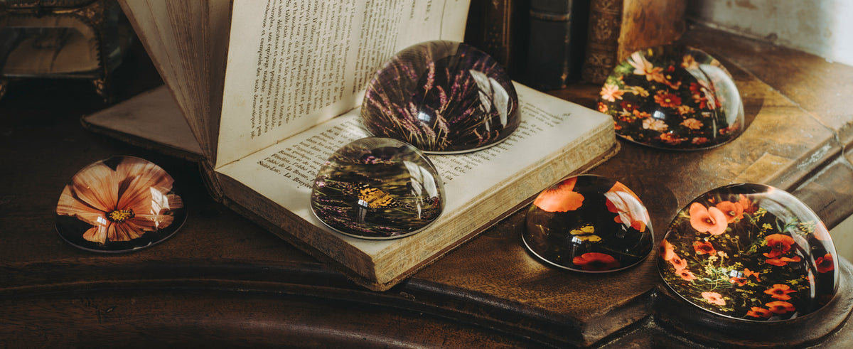 Drops of Provence Paperweights