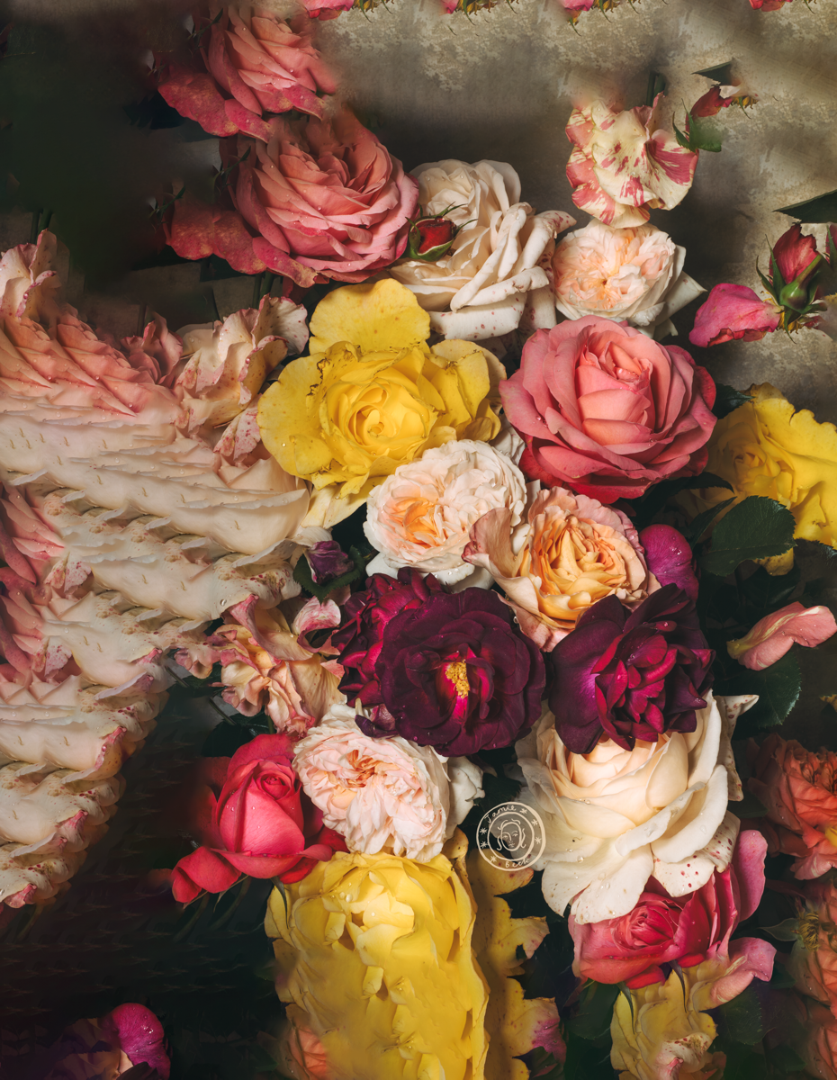 Floral Candy