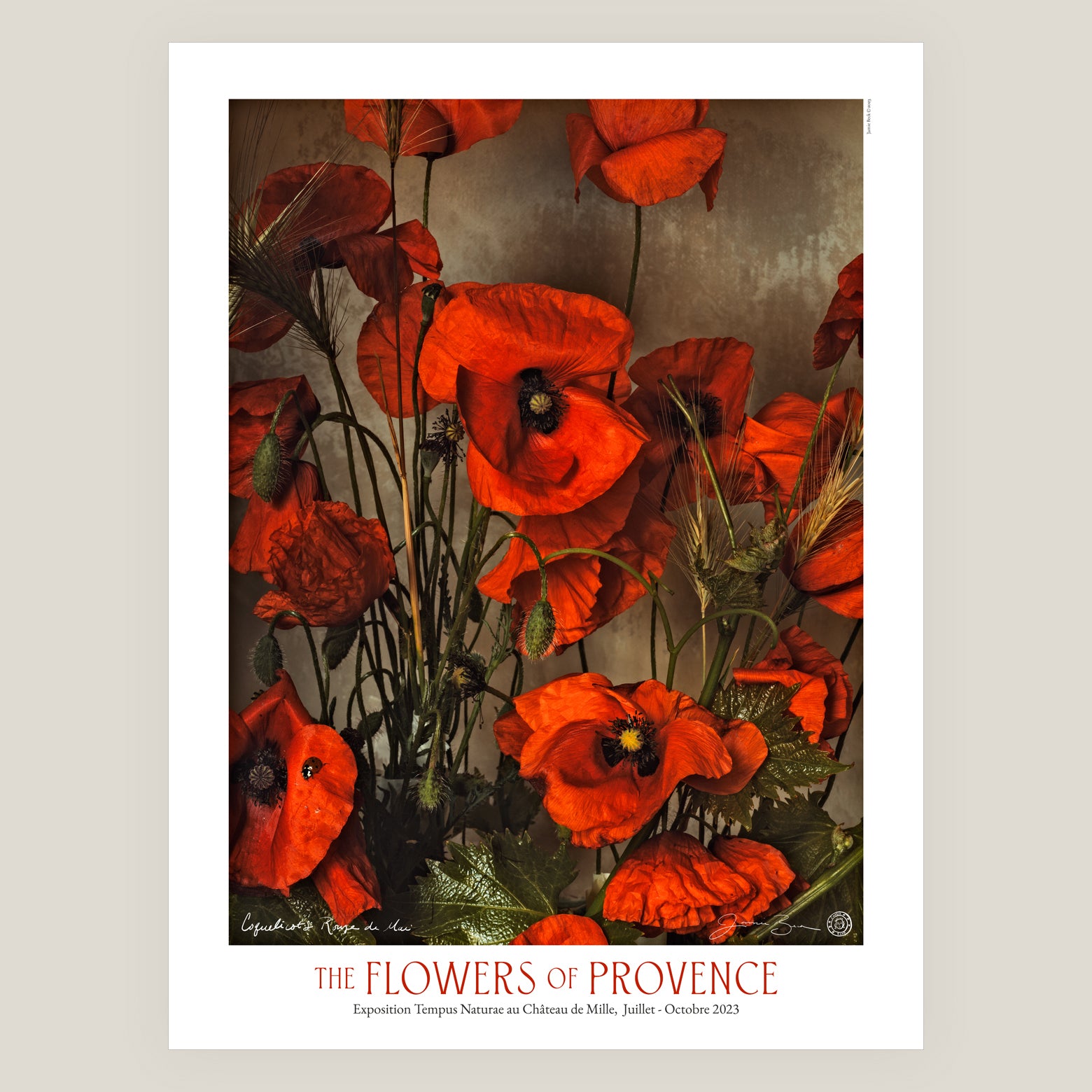 Red Poppies of May • Exhibition Poster