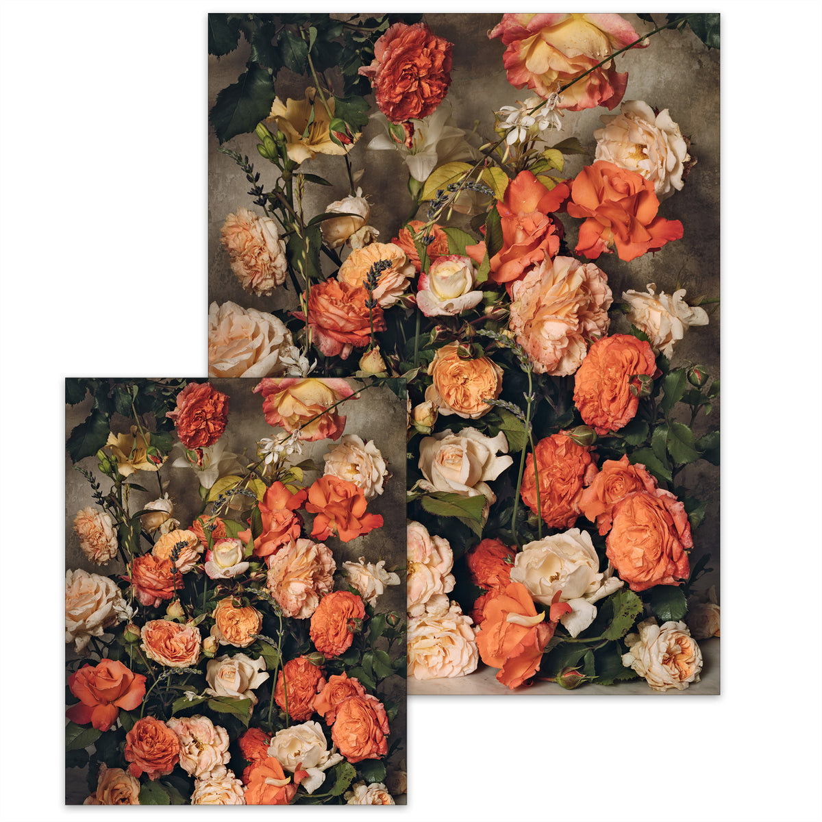 Harvest of Summer's Peach • Small Poster