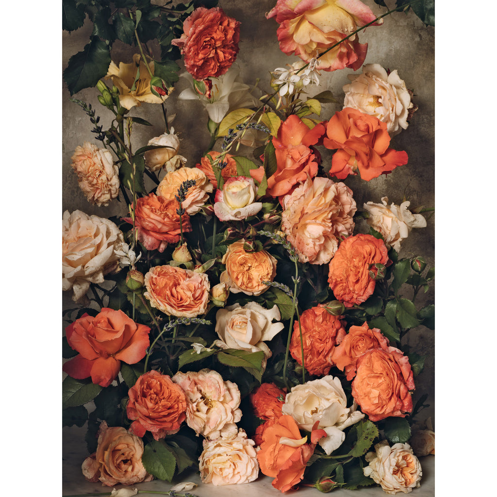 Harvest of Summer's Peach • 1 of 1 Framed Exhibition Piece
