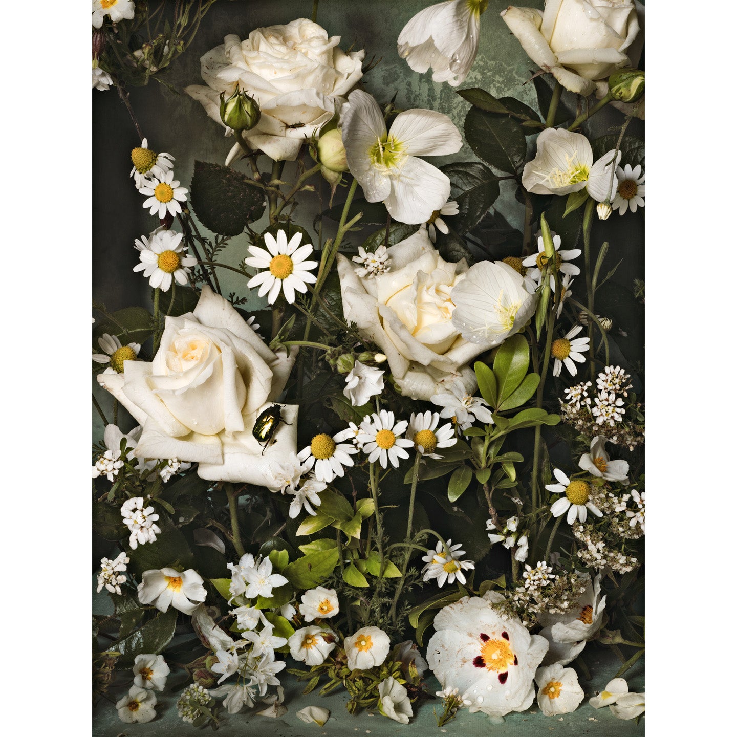Purity • 1 of 1 Framed Exhibition Piece