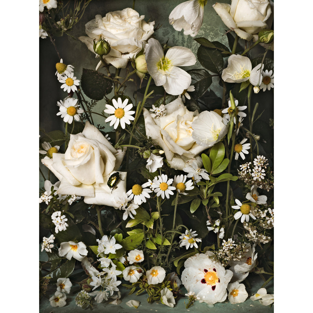 Purity • 1 of 1 Framed Exhibition Piece