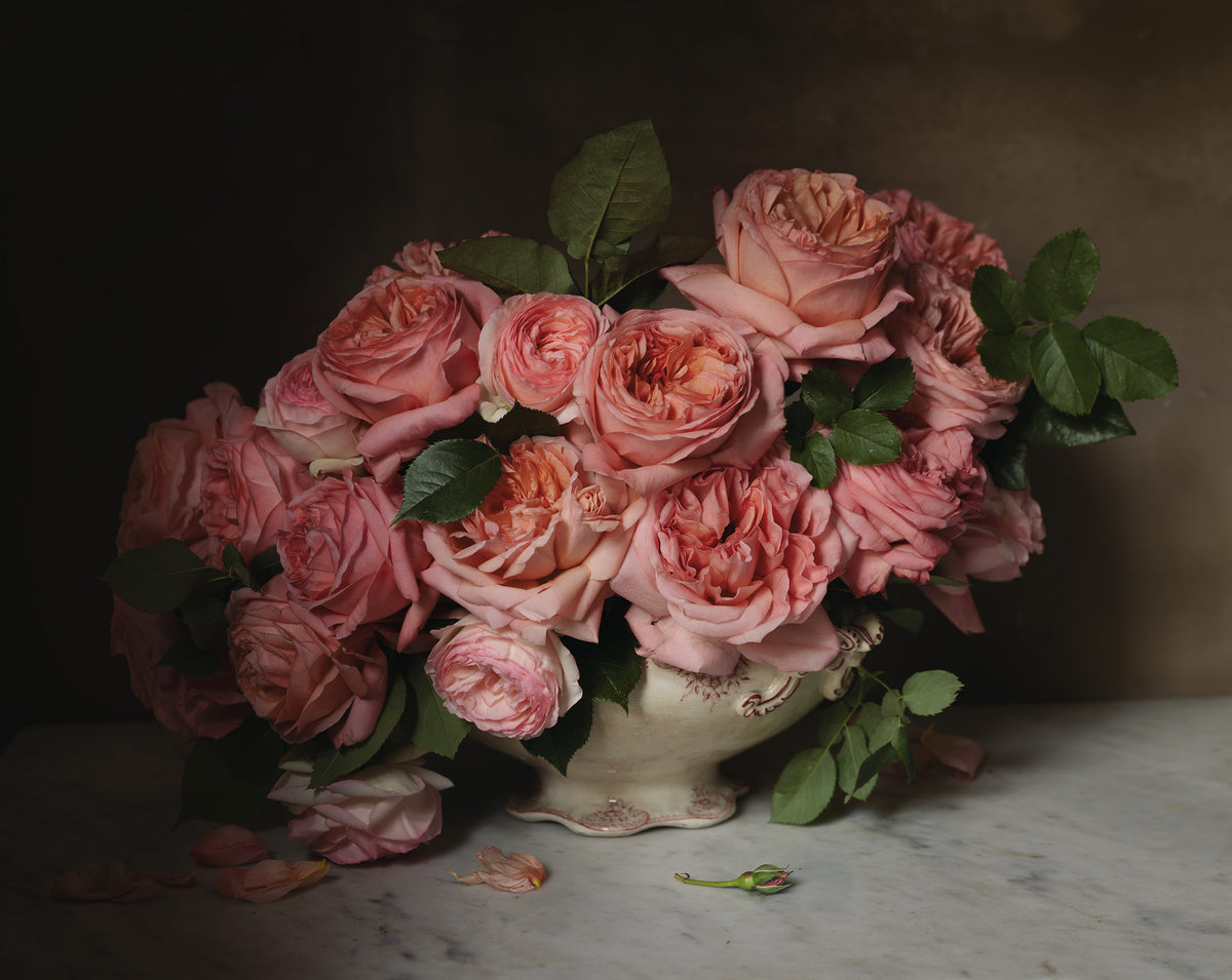 Making loveliness a way of life