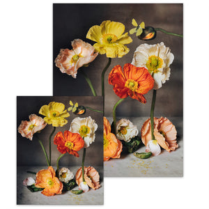 The Flowers of Provence Book Cover • Small Poster