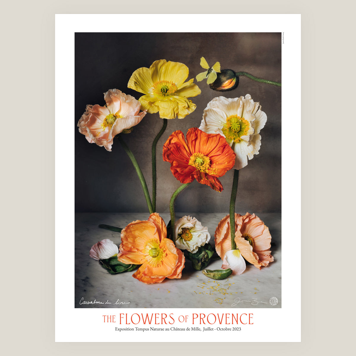 The Flowers of Provence Book Cover • Exhibition Poster