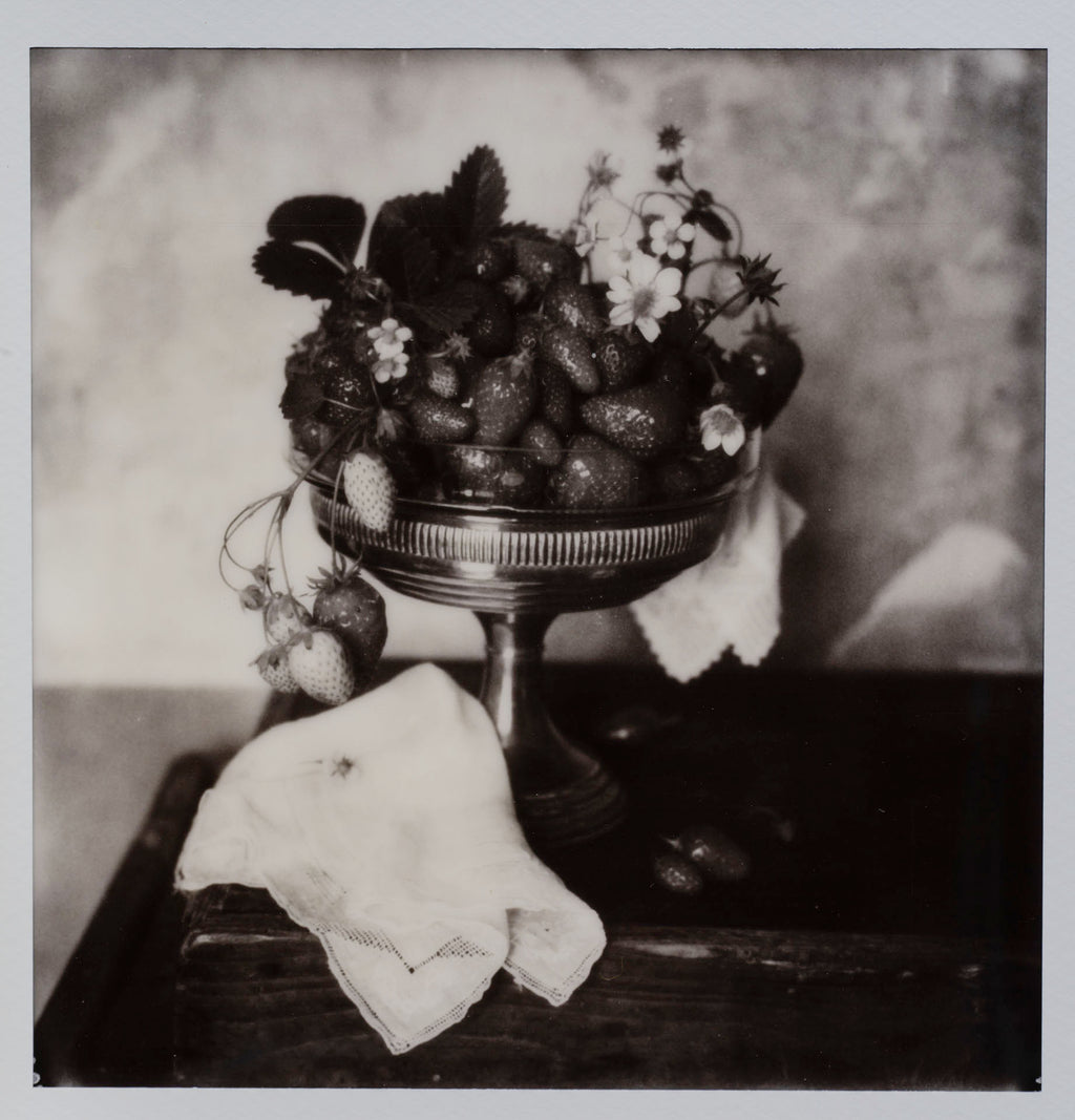Polaroid Studio Artifact 111
