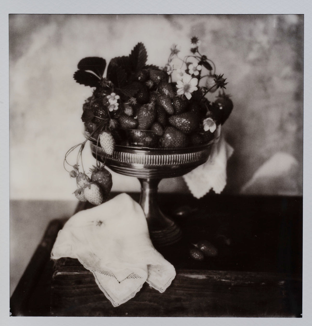 Polaroid Studio Artifact 111