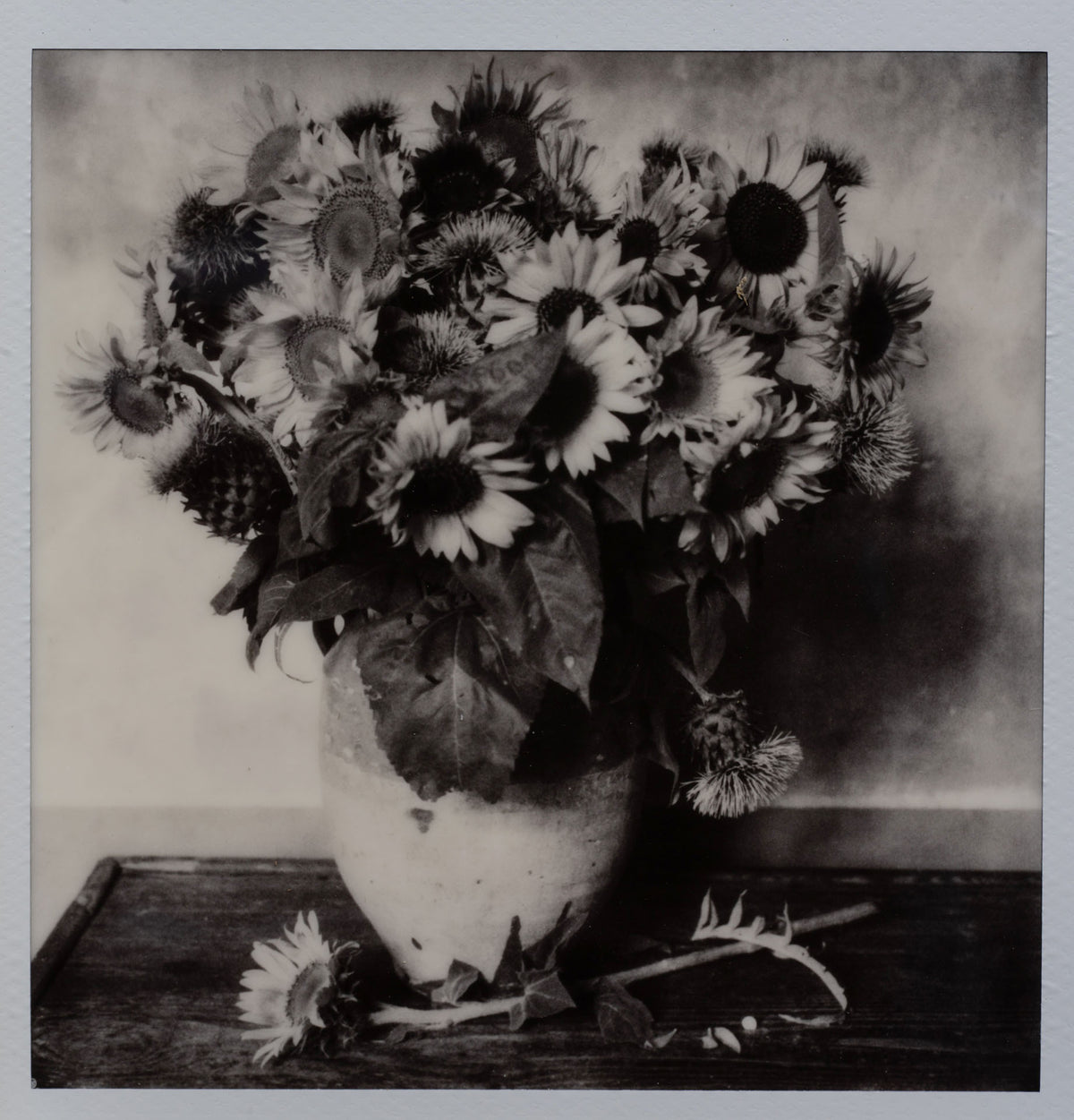 Polaroid Studio Artifact 112
