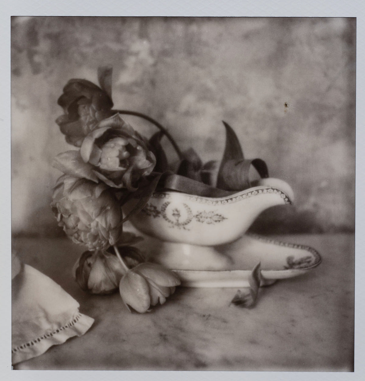 Polaroid Studio Artifact 113