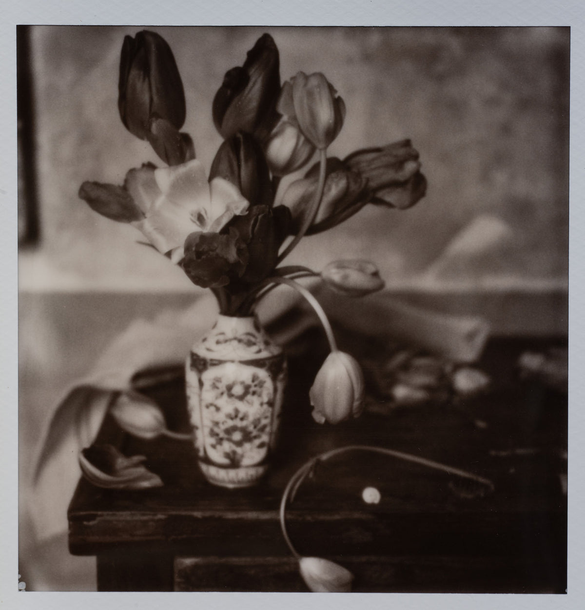 Polaroid Studio Artifact 114