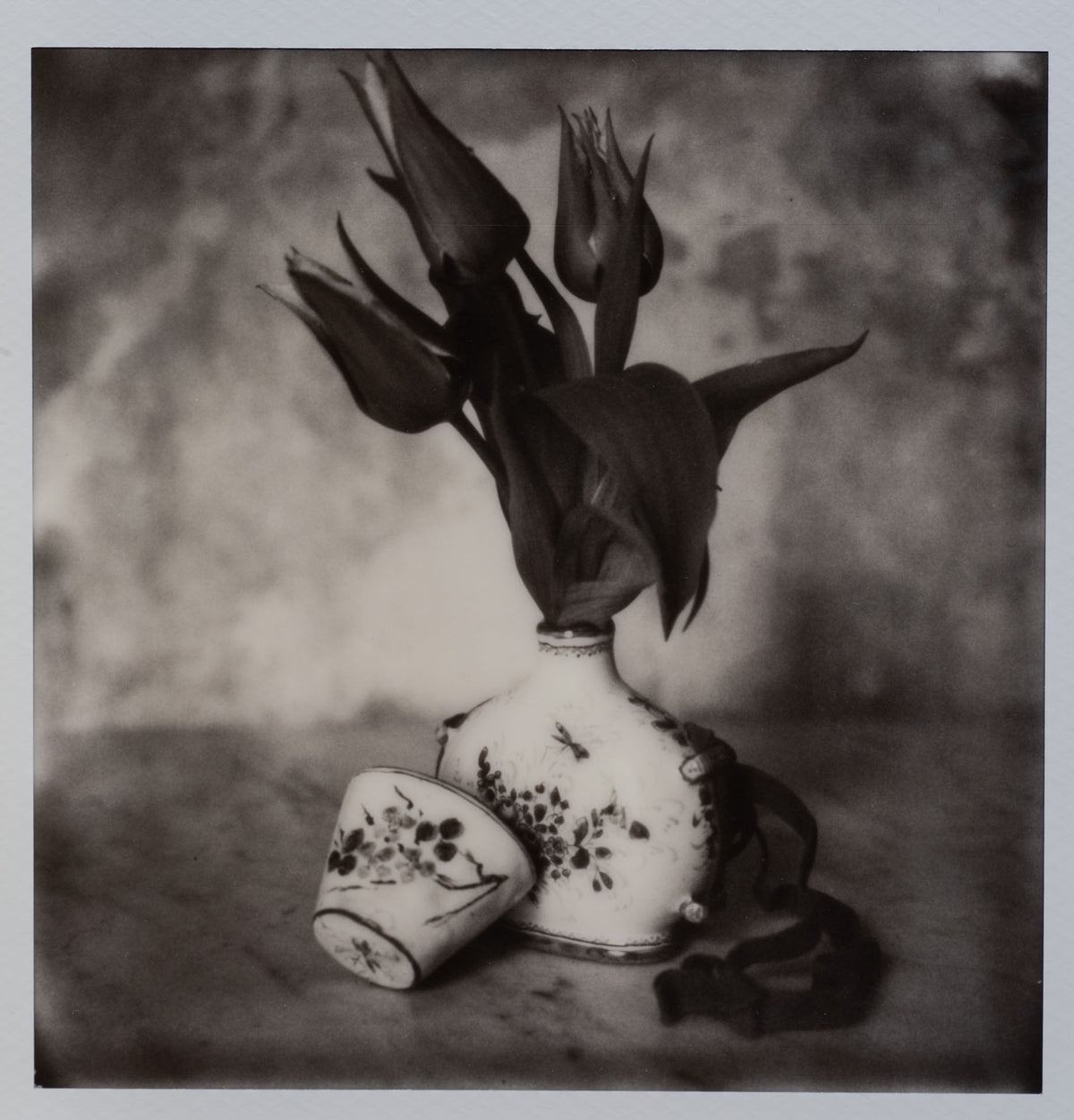 Polaroid Studio Artifact 115