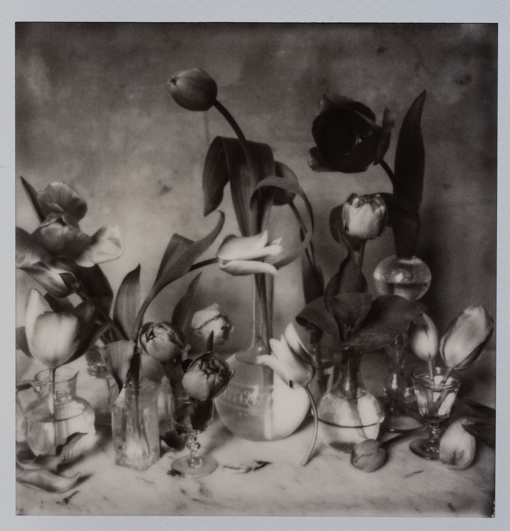 Polaroid Studio Artifact 117