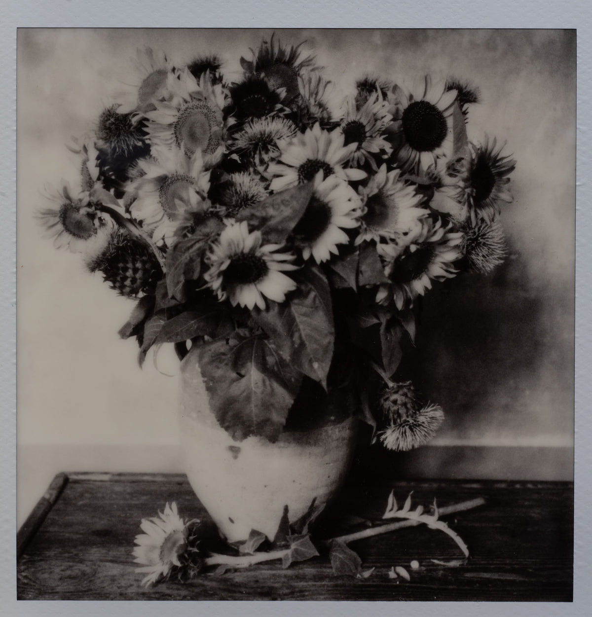Polaroid Studio Artifact 119