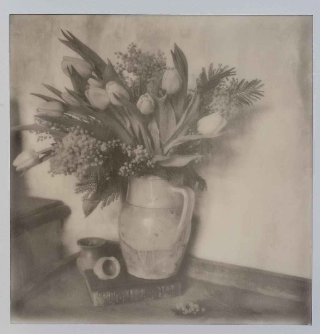 Polaroid Studio Artifact 120