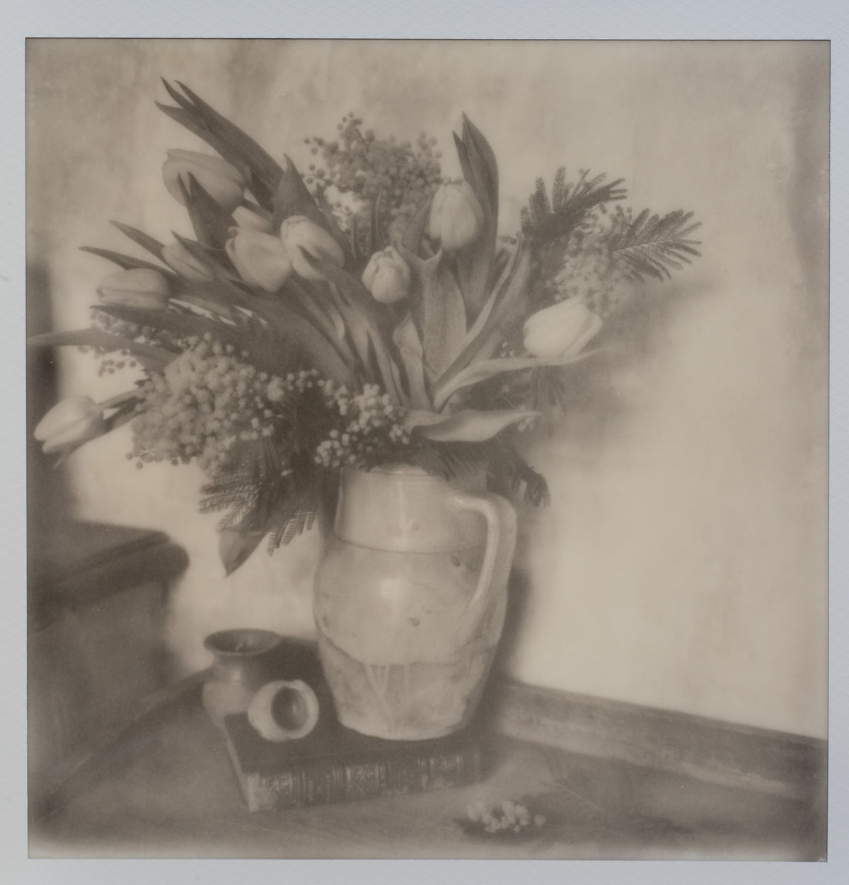 Polaroid Studio Artifact 120
