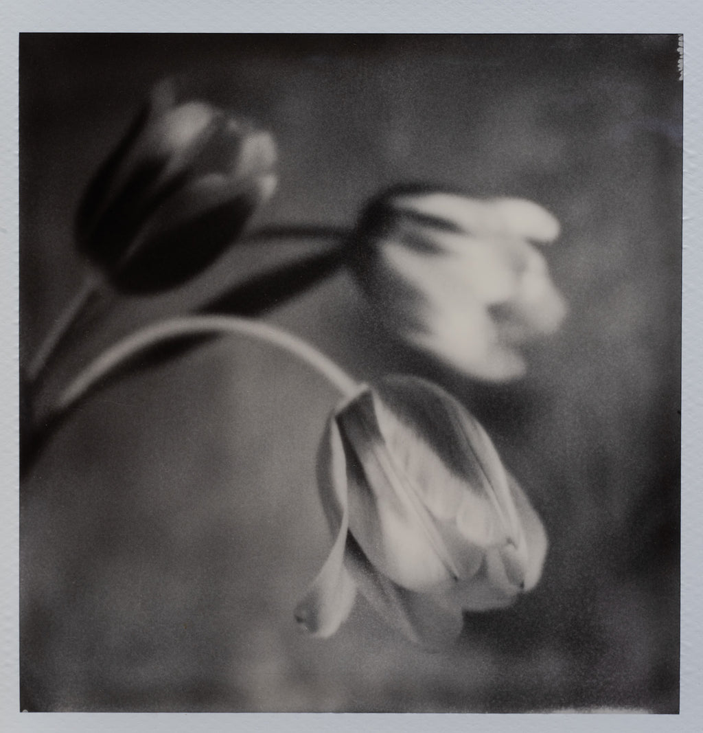 Polaroid Studio Artifact 122