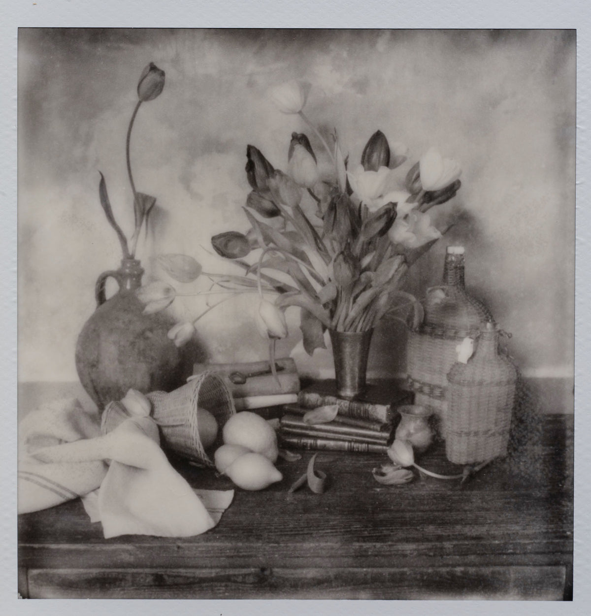 Polaroid Studio Artifact 123