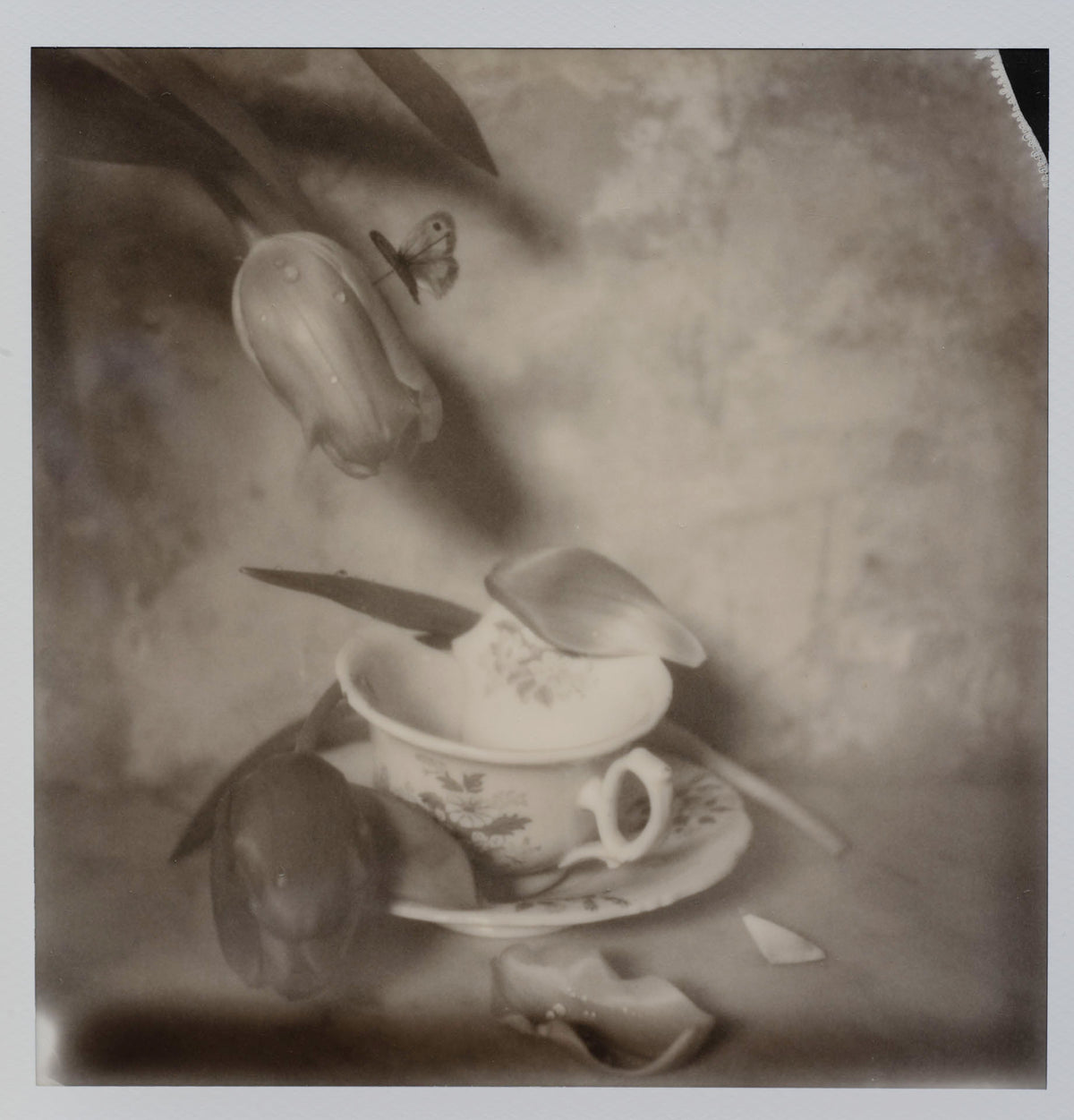 Polaroid Studio Artifact 124