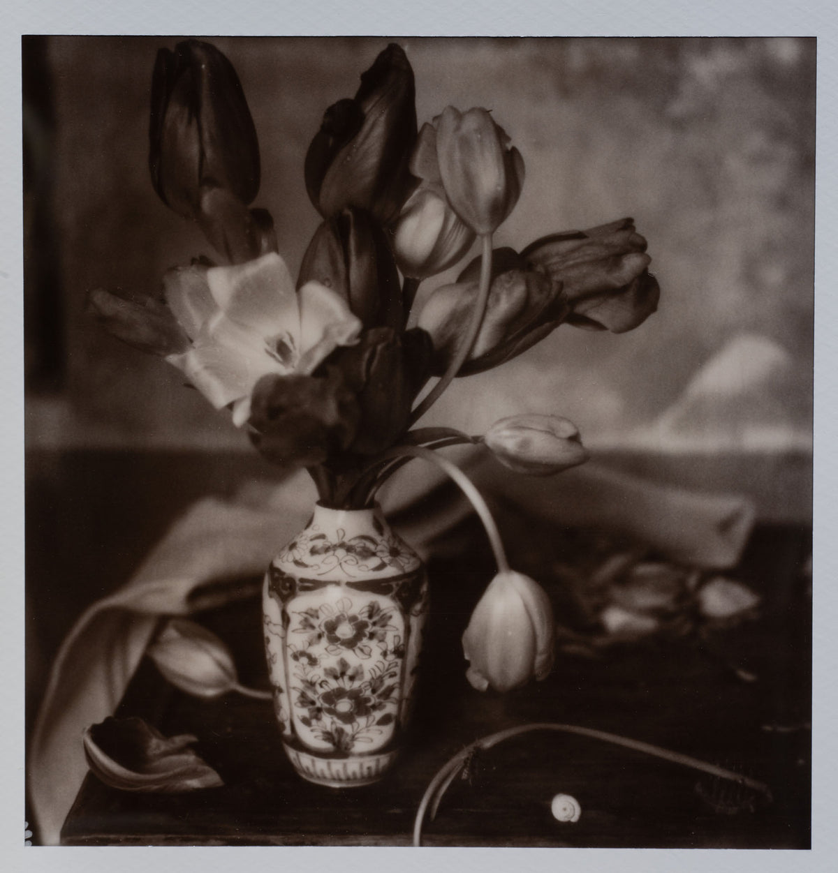 Polaroid Studio Artifact 125