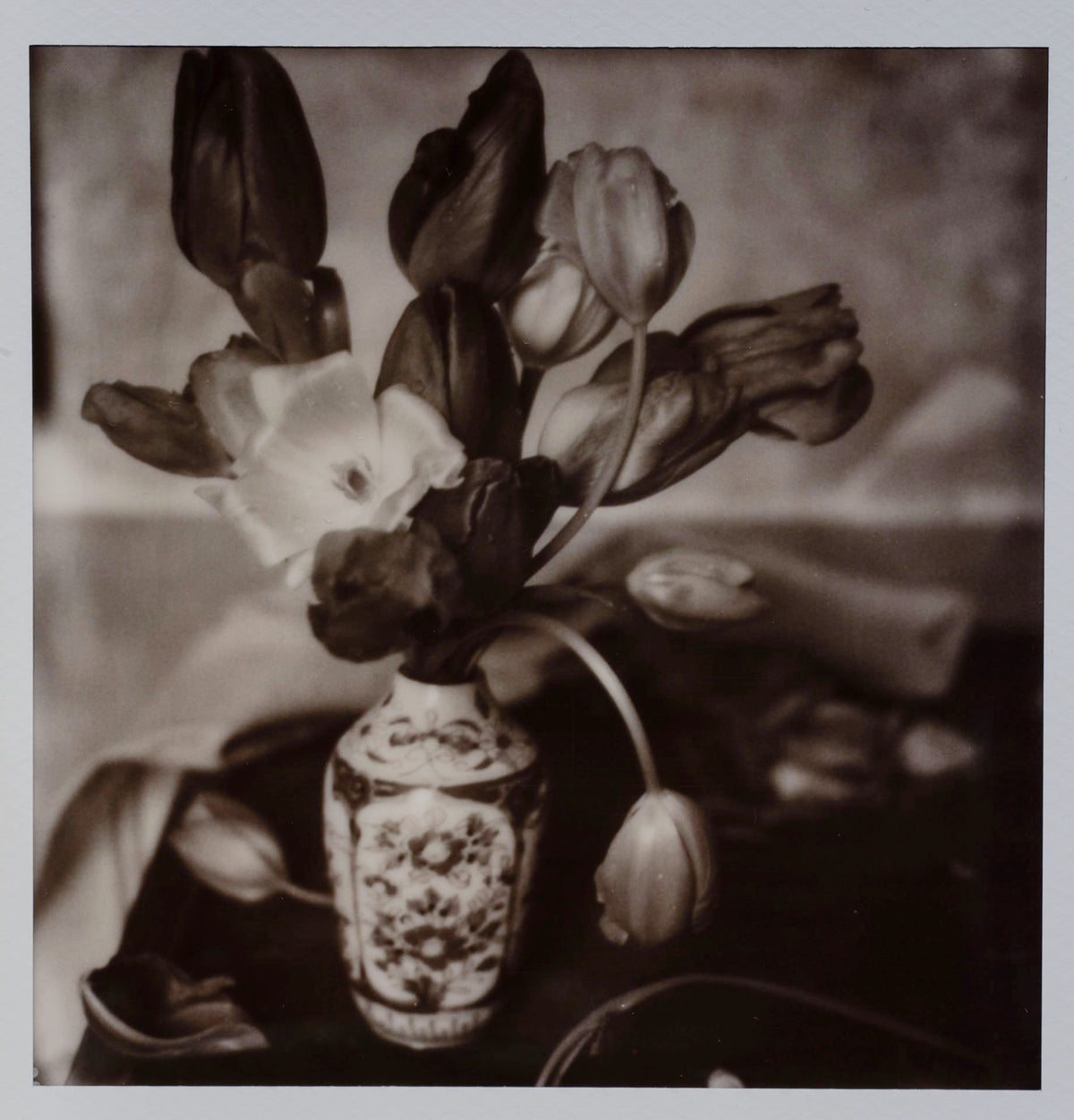 Polaroid Studio Artifact 126