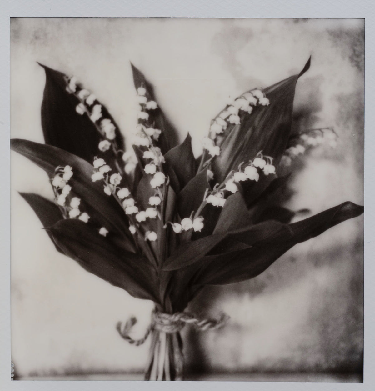 Polaroid Studio Artifact 127
