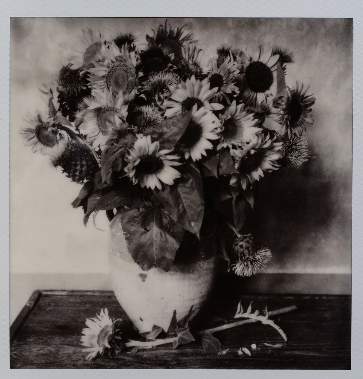 Polaroid Studio Artifact 130