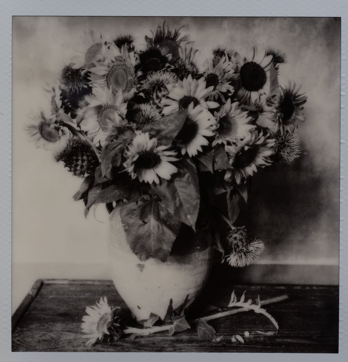 Polaroid Studio Artifact 132