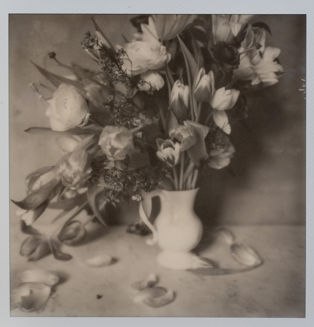 Polaroid Studio Artifact 133