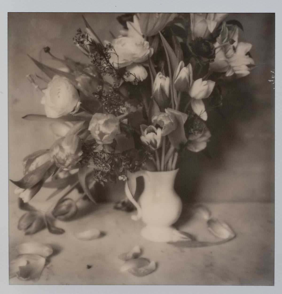 Polaroid Studio Artifact 133