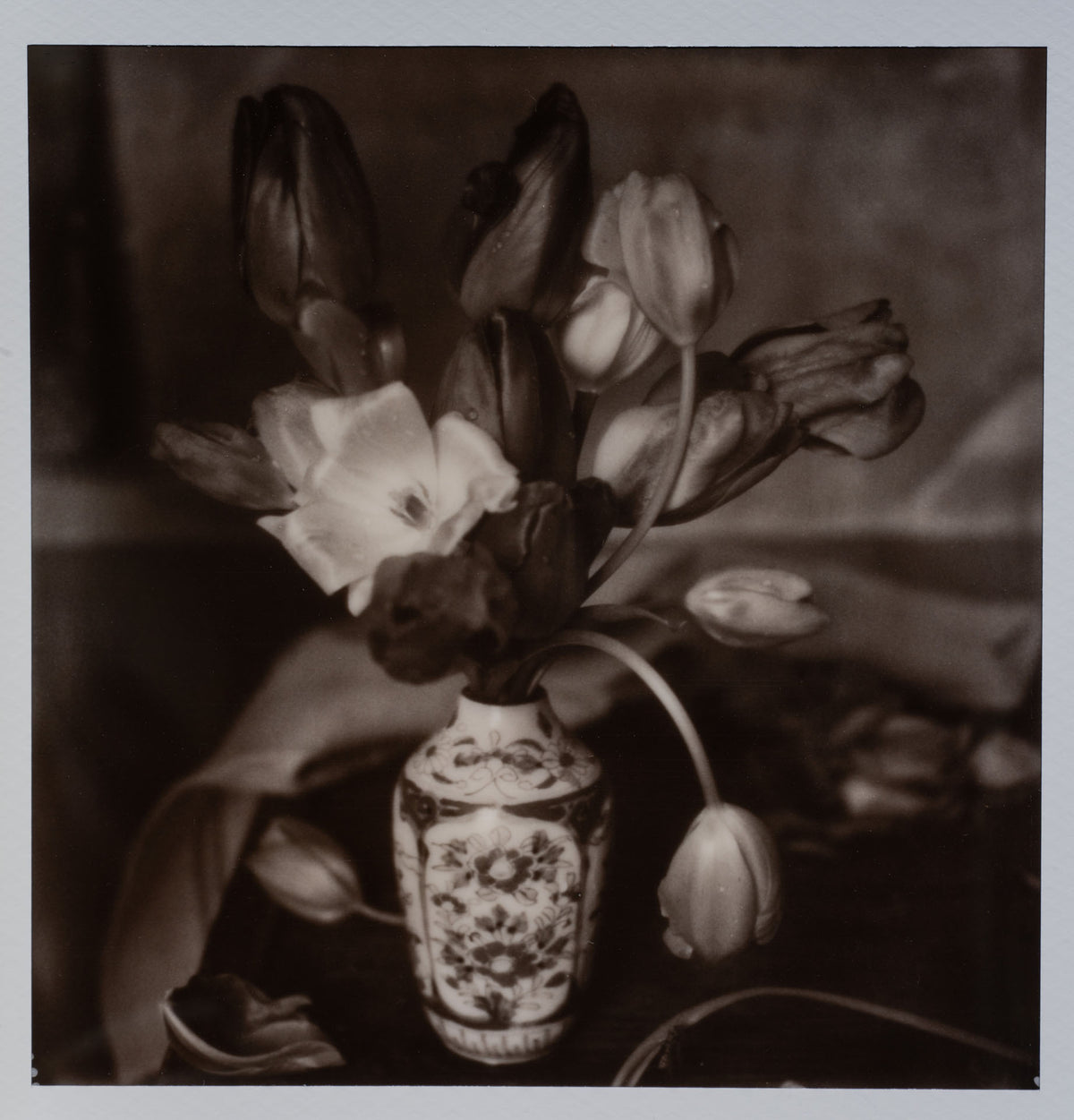 Polaroid Studio Artifact 134