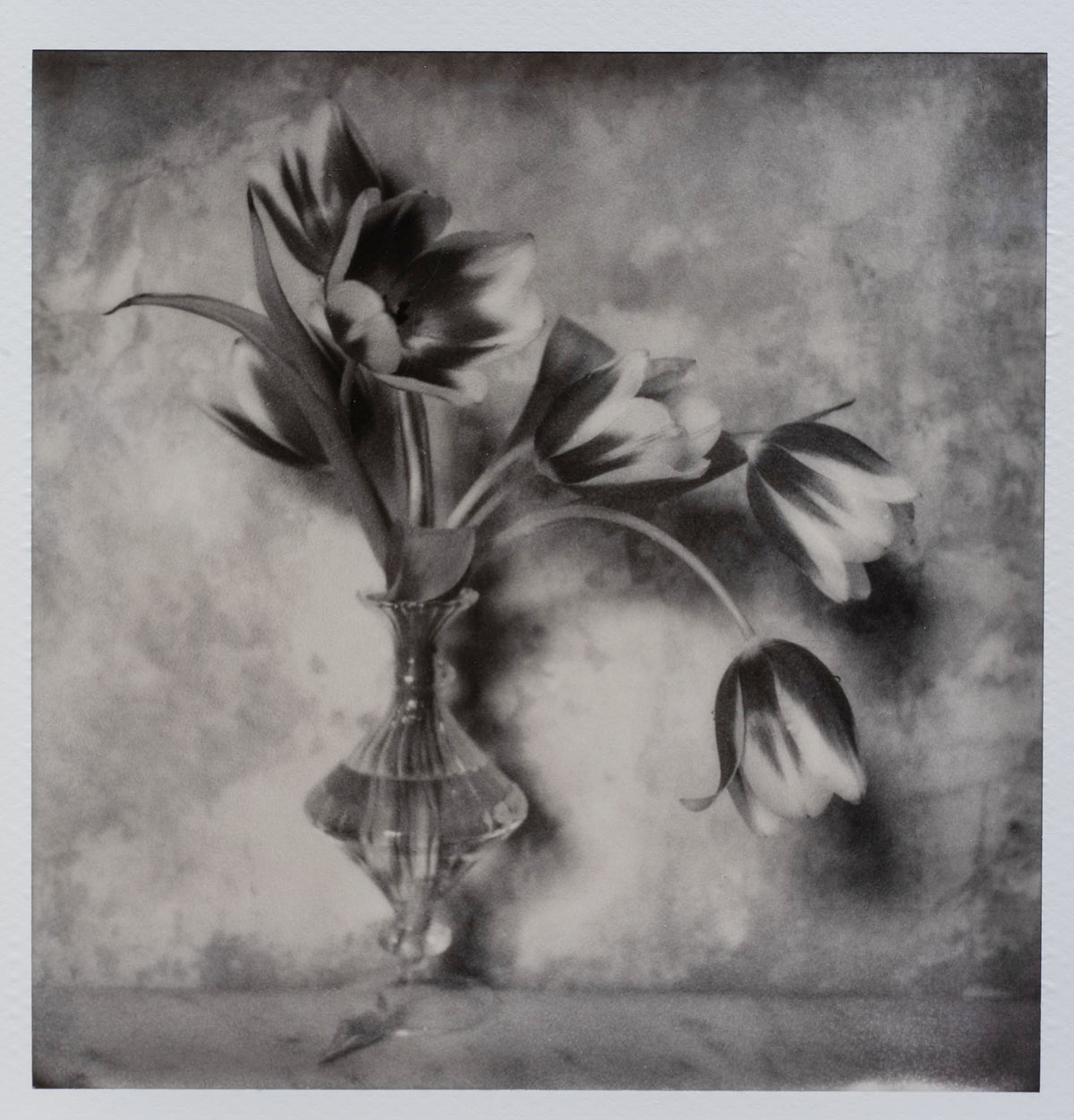 Polaroid Studio Artifact 135