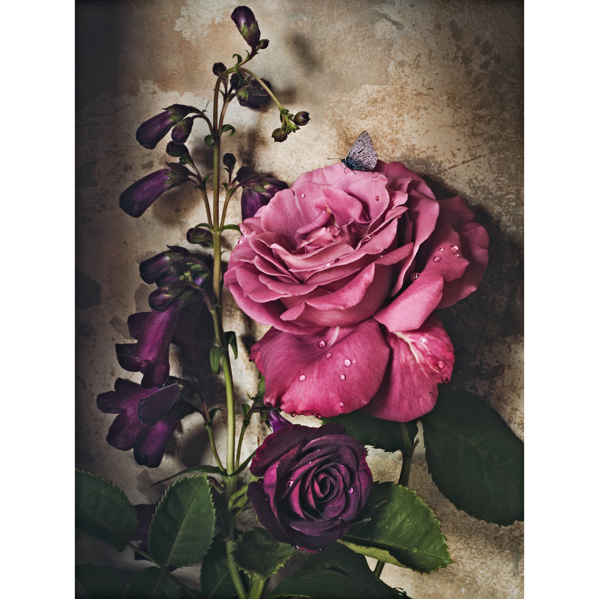 Purple in the Rain • 1 of 1 Framed Exhibition Piece