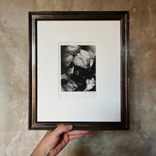  Framed Ranunculus #8 • Darkroom Print