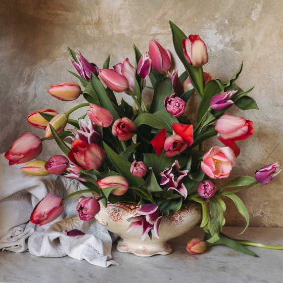 Bowl of Tulips • Print