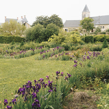  Iris Garden at the Chateau I Print