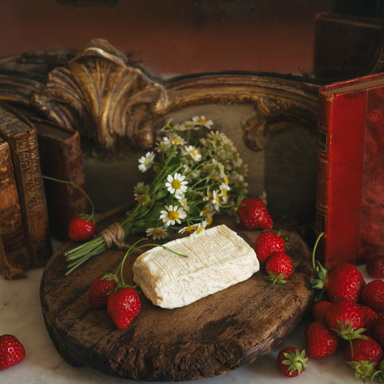 May Cheese I • Print