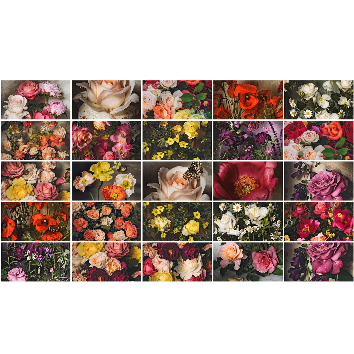 The Flowers of Provence I • Pack of 25 • Art for Samsung The FRAME TV