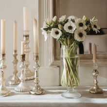  Flowers on the Mantle • Print