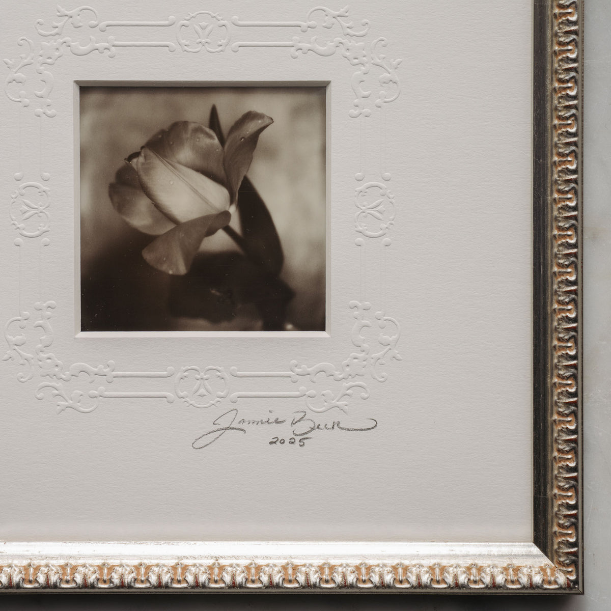 Polaroid Studio Artifact 116
