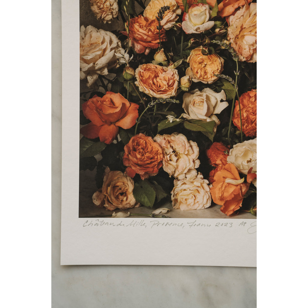Harvest of Summer's Peach • 1 of 1 signed Artist Proof